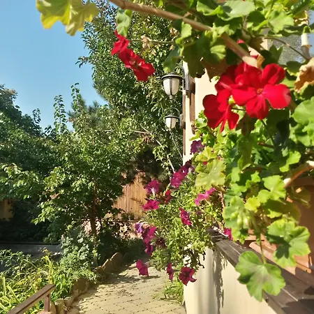 Casa Mica Guesthouse-2